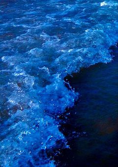 ‪B U D D i i S ⋆˙⟡