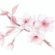 空さんのアイコン画像