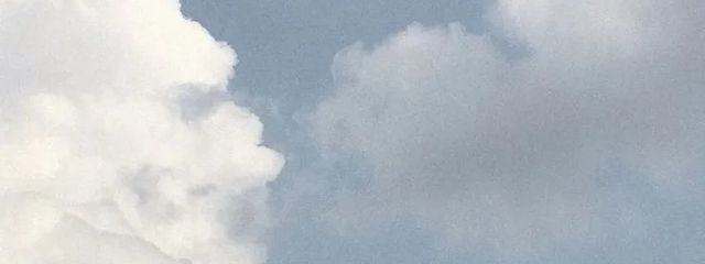 みかんさんの壁紙画像