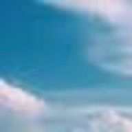 🐧🐬さんのアイコン画像