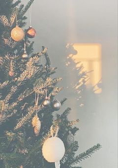 ❅꙳ః❅꙳ః　𝟚𝟜 𝕥𝕠 𝟚𝟝  ❅꙳ః❅꙳