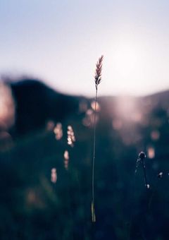 孤独な世界で貴方を想う