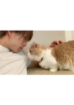 猫好きBOYの妹は犬好きでした