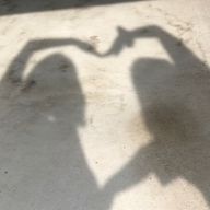 バナナの皮🍌さんのアイコン画像