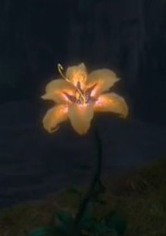 愛を教授するあの子達は恋を、愛を経験したことがない！