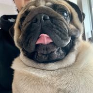 Minoriさんのアイコン画像