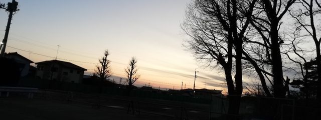 💚Shiori❤️さんの壁紙画像