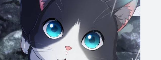 しゅうまいさんの壁紙画像