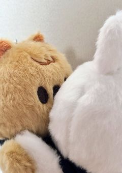 たんぺん