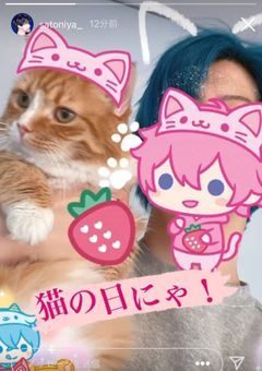 バレてはいけない秘密の恋