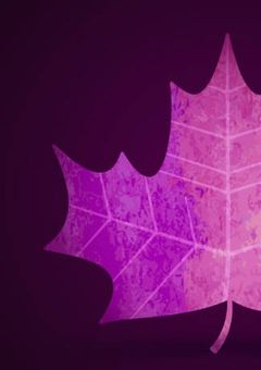 　楓華の配信部屋　.　