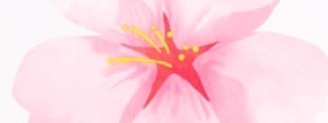 ♡保科副隊長♡さんの壁紙画像