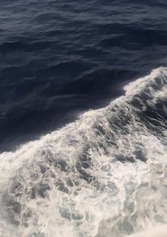 好き。大好き。愛してる。