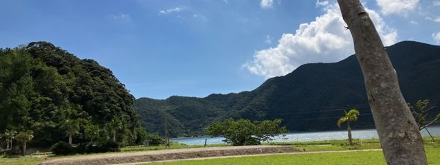 ぽむさんの壁紙画像