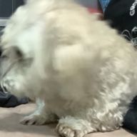 結露さんのアイコン画像