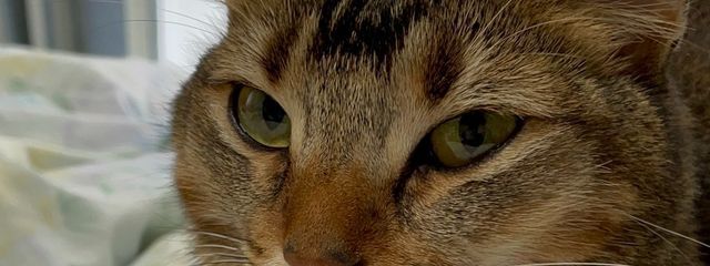 N.Rさんの壁紙画像