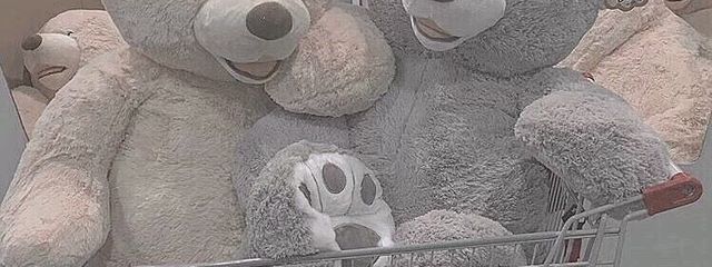 朔 .さんの壁紙画像