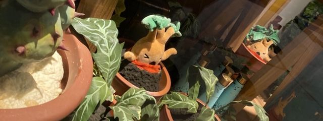 親子丼ちゃん🐣‪💧さんの壁紙画像