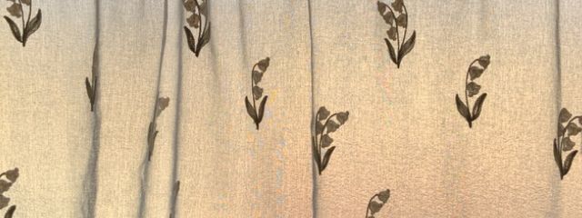 副会長kさんの壁紙画像