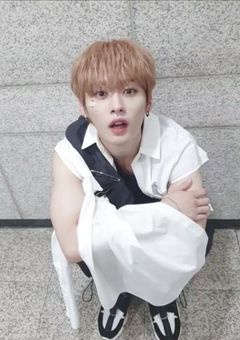 『お届け物は猫でした』