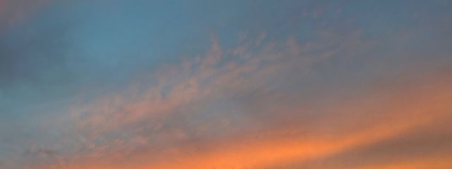 🪷さんの壁紙画像