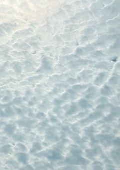 ある日感情が無くなった