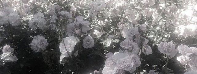 ⠀ ⠀ㅤㅤㅤㅤ澪 愛 .さんの壁紙画像
