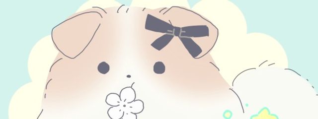 ライラ@垢無期限停止さんの壁紙画像