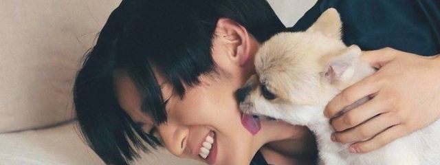 めめりんさんの壁紙画像