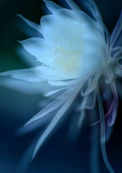 死んだように生きたあの夏の1週間