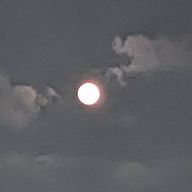 Shion #逢いたいよ、うゆちゃん。さんのアイコン画像