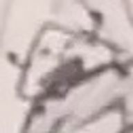 煽られ魔 N さんのアイコン画像