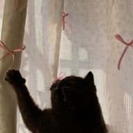 あさんのアイコン画像