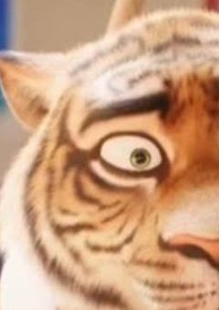 もう一度あのステージで、、、