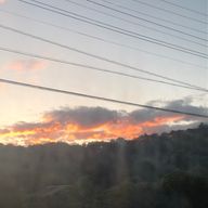 チェラさんのアイコン画像