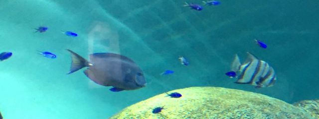 ぽぽキキさんの壁紙画像