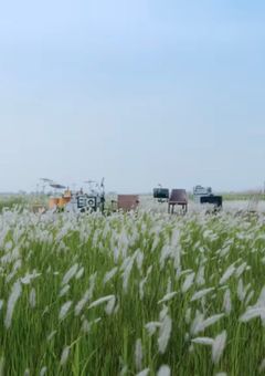 なんで幼馴染と住むことになった！？