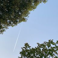 ひー!さんのアイコン画像