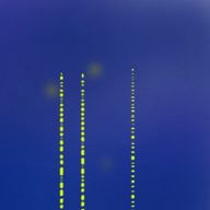 柿@テスト期間さんのアイコン画像