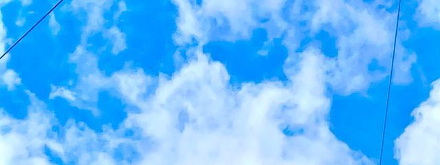 朱夏さんの壁紙画像