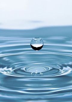 鱗滝さんの弟子は今