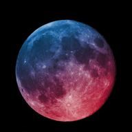 いぬたまごさんのアイコン画像