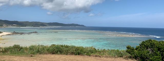 チョコミントアイス🍫🌿🍦さんの壁紙画像