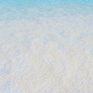 STRAY CAT さんのアイコン画像