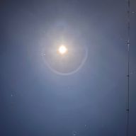 あさりさんのアイコン画像