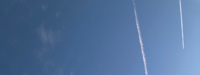 抹茶のゆでたまごさんの壁紙画像