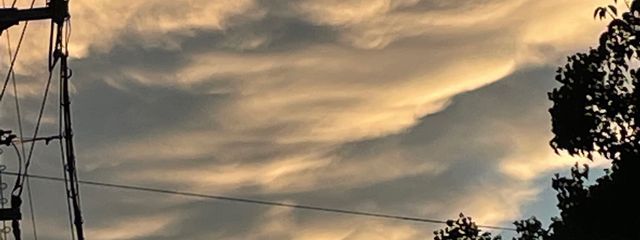 白狐🕊🫙さんの壁紙画像