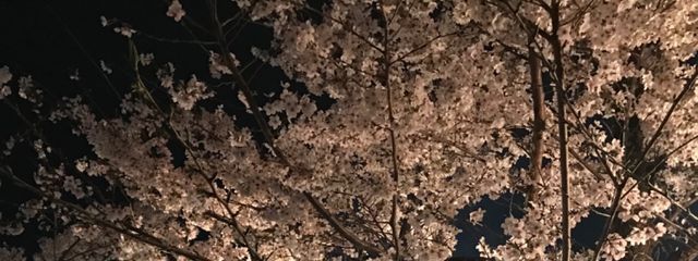 みさきさんの壁紙画像