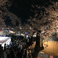 みさきさんのアイコン画像