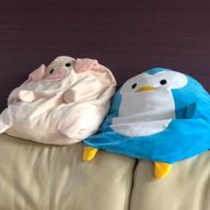 amanさんのアイコン画像
